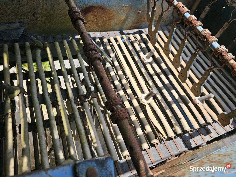 Kombajn ziemniaczany Anna bolko karlik Miechów