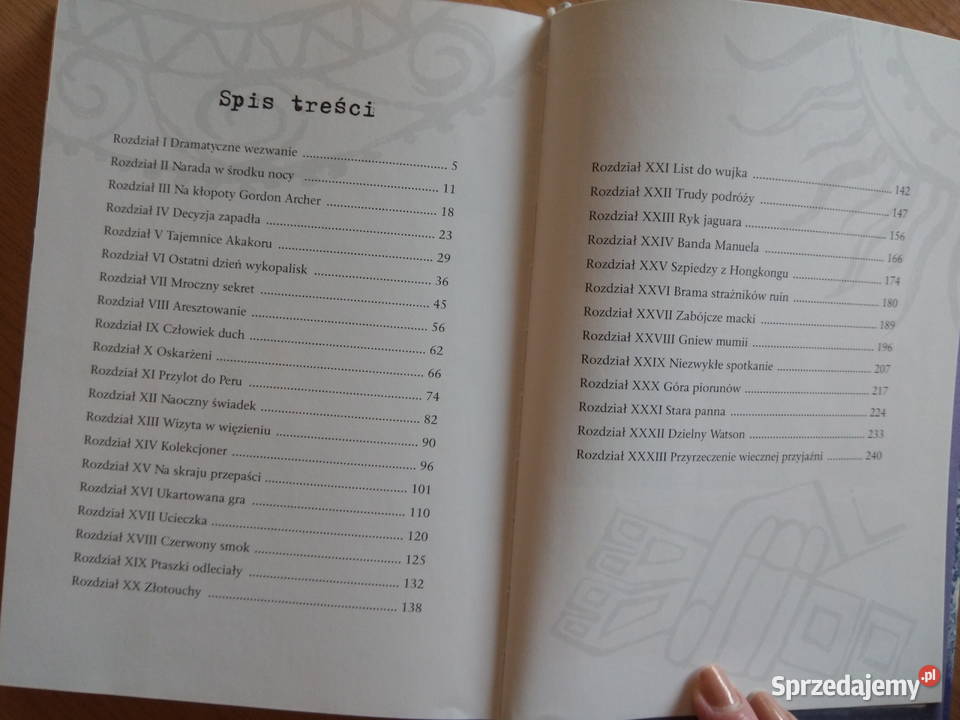 Kroniki Archeo Przepowiednia synów słońca Dąbrowa Górnicza