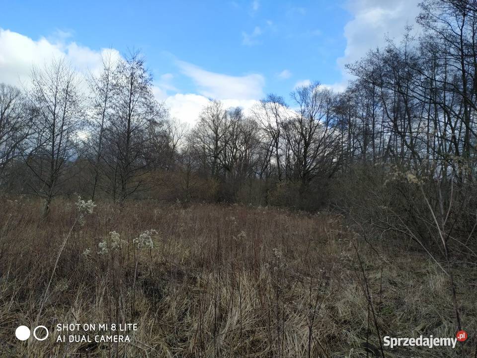 Miłocice Siedlisko 10 ha Jelcz-Laskowice