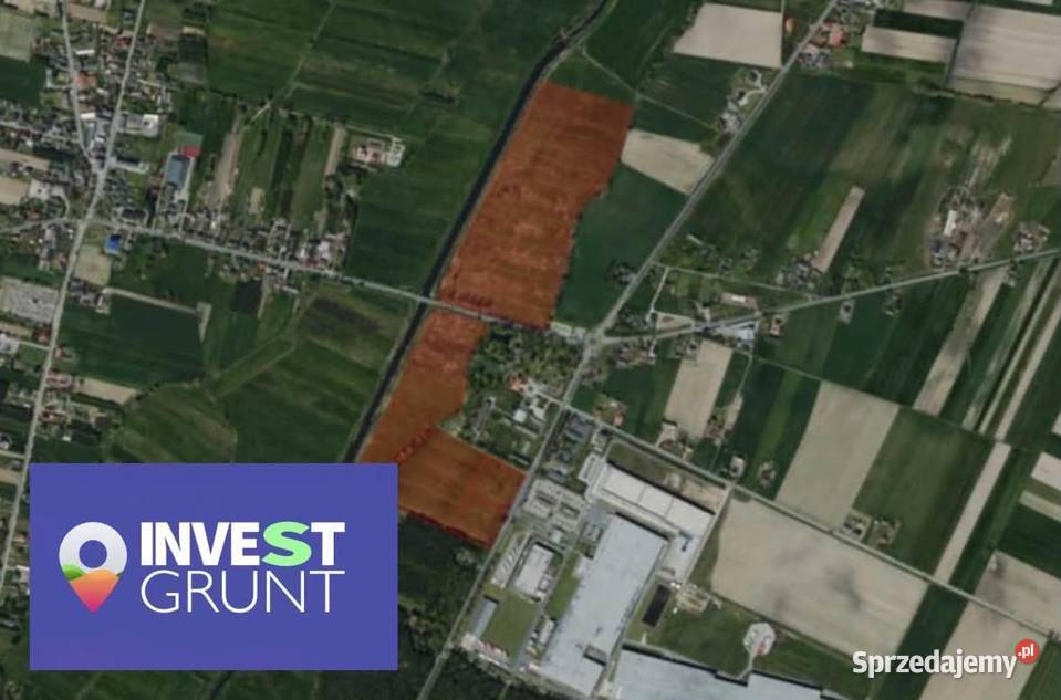Dzierżawa gruntu rolnego 3292 ha 329200m2 Poddębice