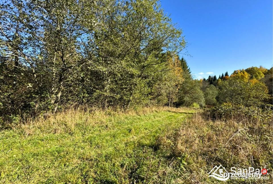 Grunt Krzywe 10100m2 Sprzedaż