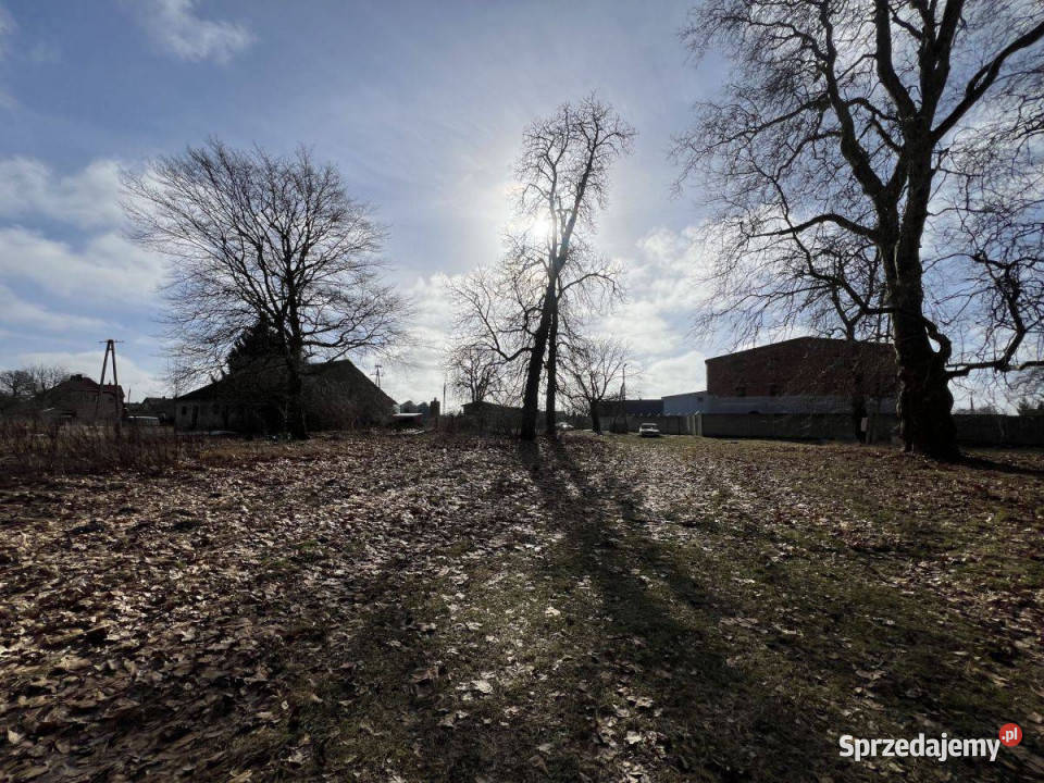 Na sprzedaż Zabytkowy Pałac z dużą działką Skórzyno