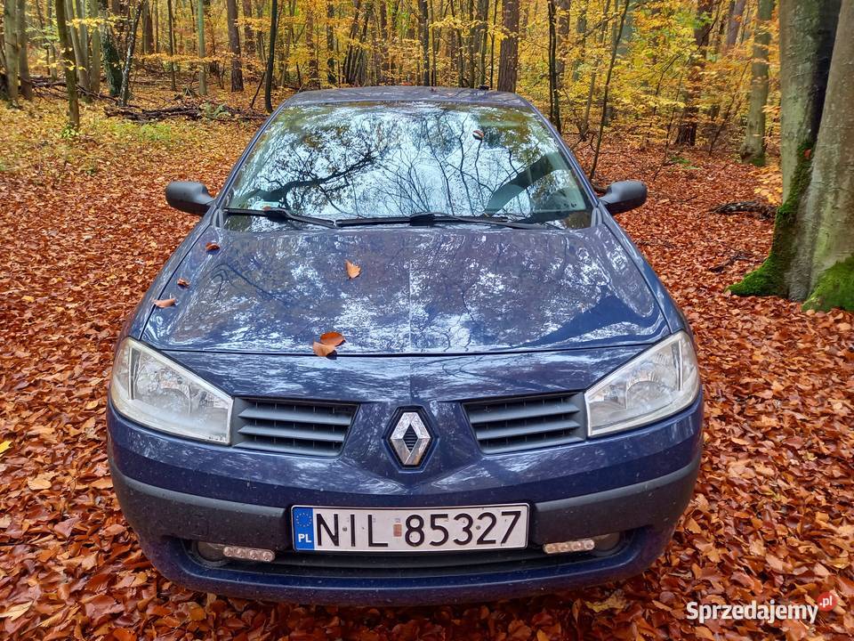 Renault Megane 2 14 16v 2003 PT OC bezproblemowe Rok produkcji 2003 warmińsko-mazurskie Susz sprzedam