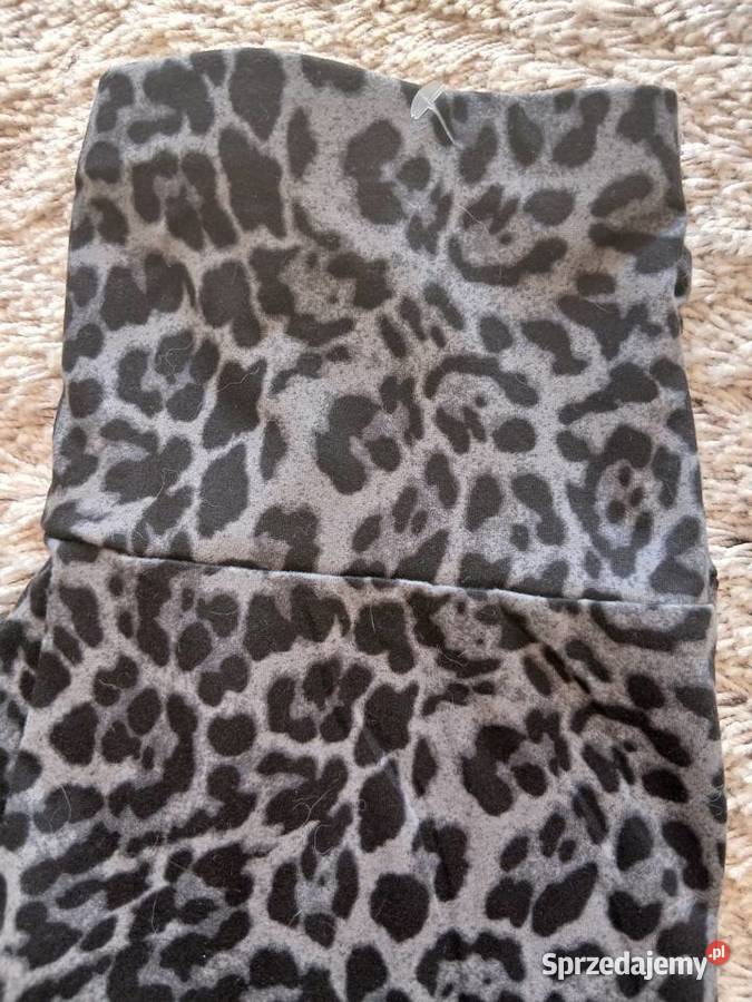 Panterka leginsy sm czarny