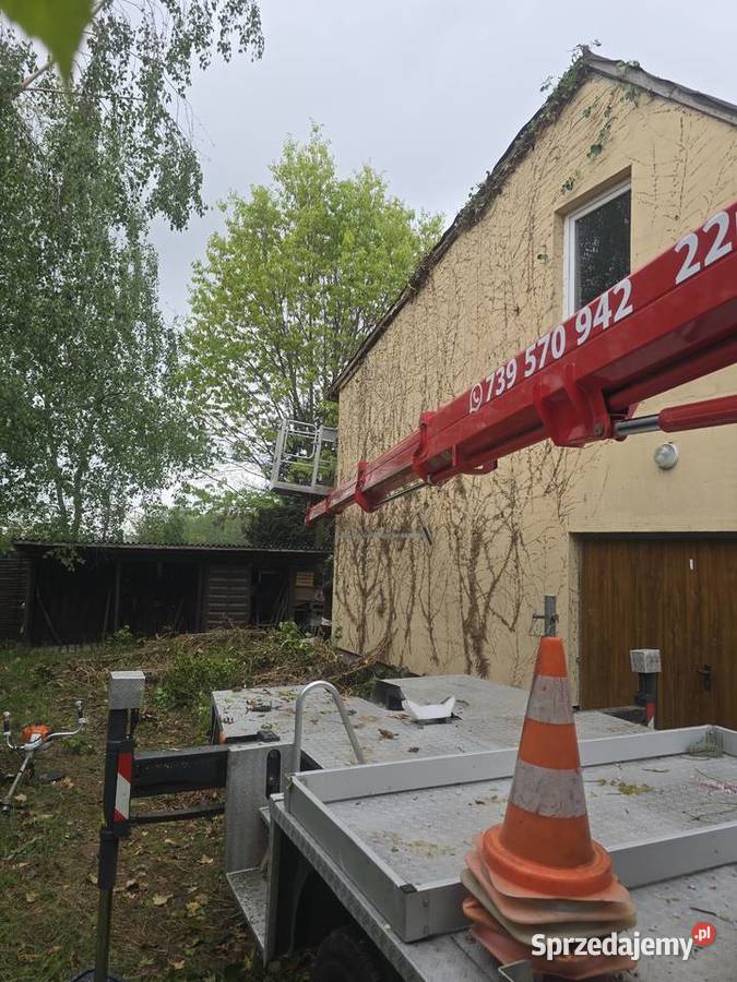 Wycinki drzew Tarczyn pielęgnacja zieleni prace ogrodowe