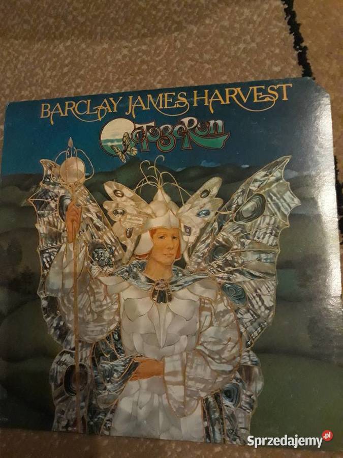Płyty winylowe w super stanie Barclay James płyta winylowa Rzeszów