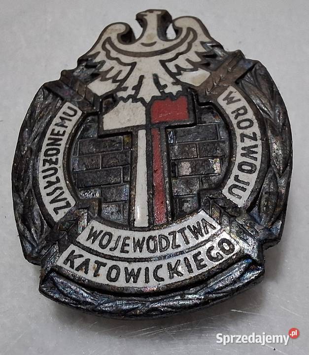Odznaka Zasłużonemu w Rozwoju Województwa Czeladź