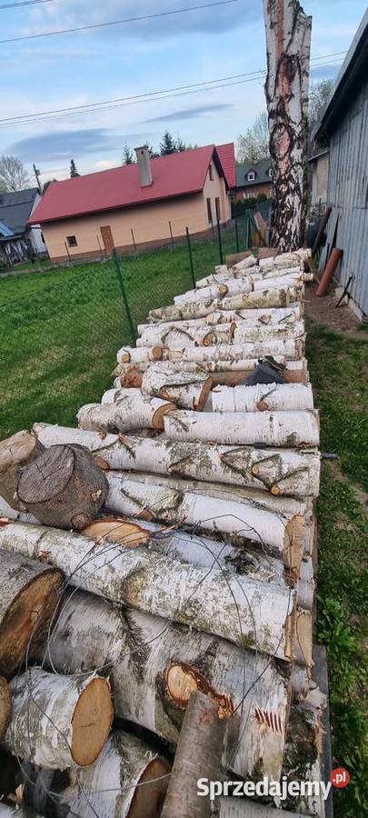 Drzewo opałowe brzoza