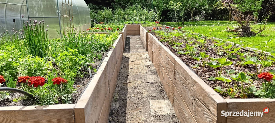 Rabata warzywna Betonowy Warzywnik Inspekt Poznań