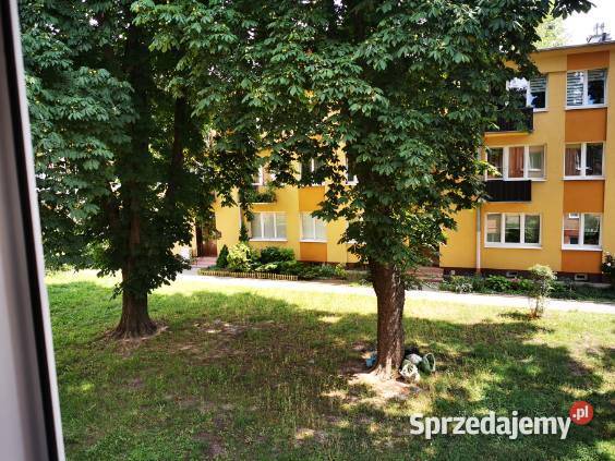 Do wynajęcia kawalerka z balkonem Stary Mokotów Wynajem Warszawa sprzedam