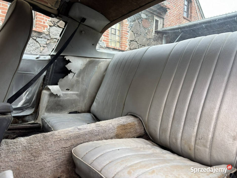 Pontiac Firebird Trans Am PONTIAC FIREBIRD 1981 Sulechów