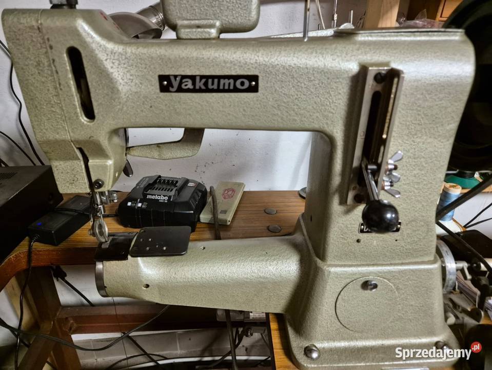 Rymarka praworamienna Warszawa