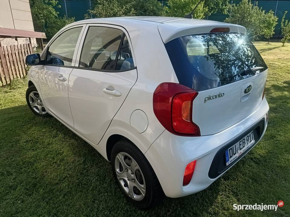 Kia Picanto model 2019 Serwisowany Skoczów