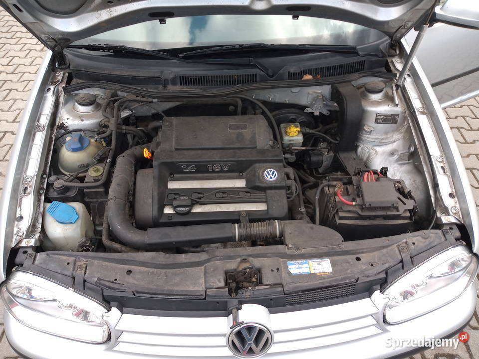 VW Golf IV 14 benzyna