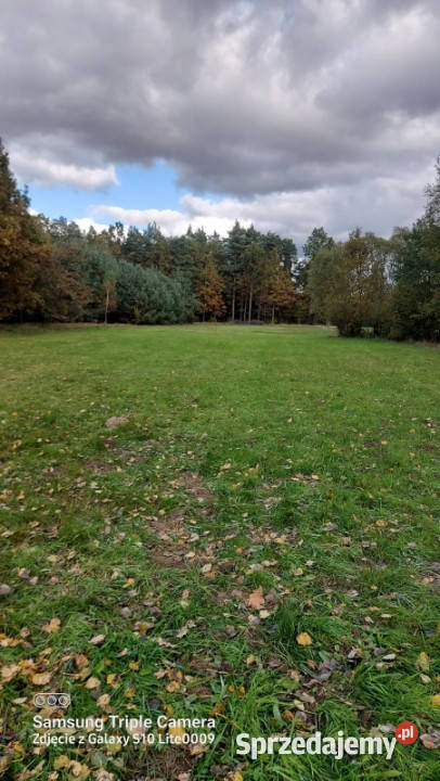 Działka o oz Pastwisko 2568m2 mazowieckie Równe sprzedam