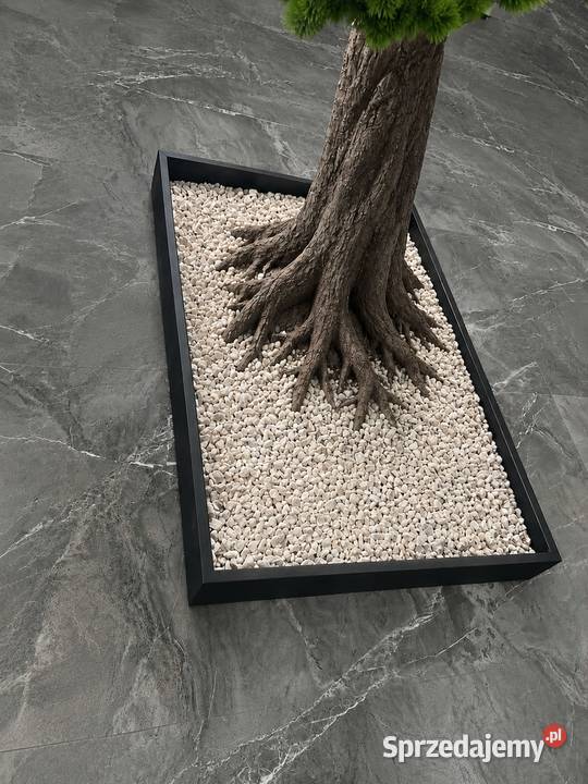 Donica do bonsai prostokątna 100x70x10 stalowa małopolskie Golkowice