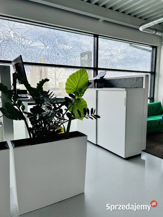 Biuro serwisowane 21 m2 do wynajęcia Wynajem