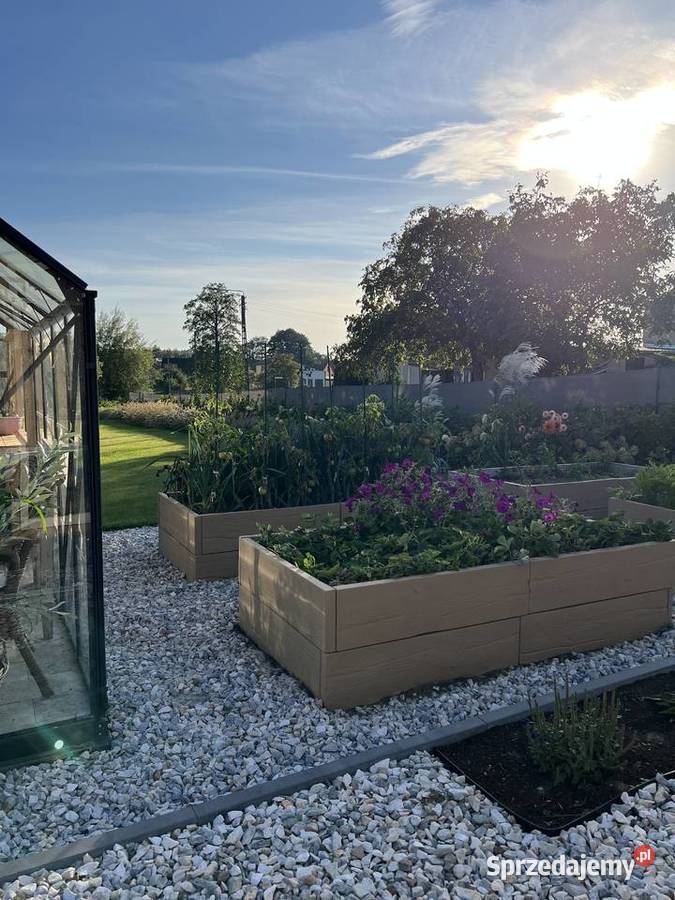 Podwyższone grządki betonowe rabata kwiatowa Poznań