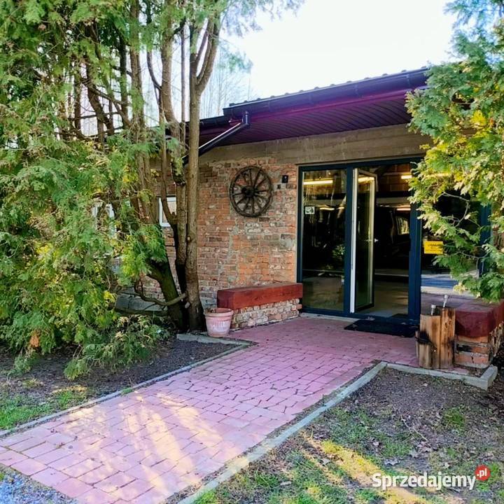 Szkolenia groomerów i hodowców Wwy Duży Dół