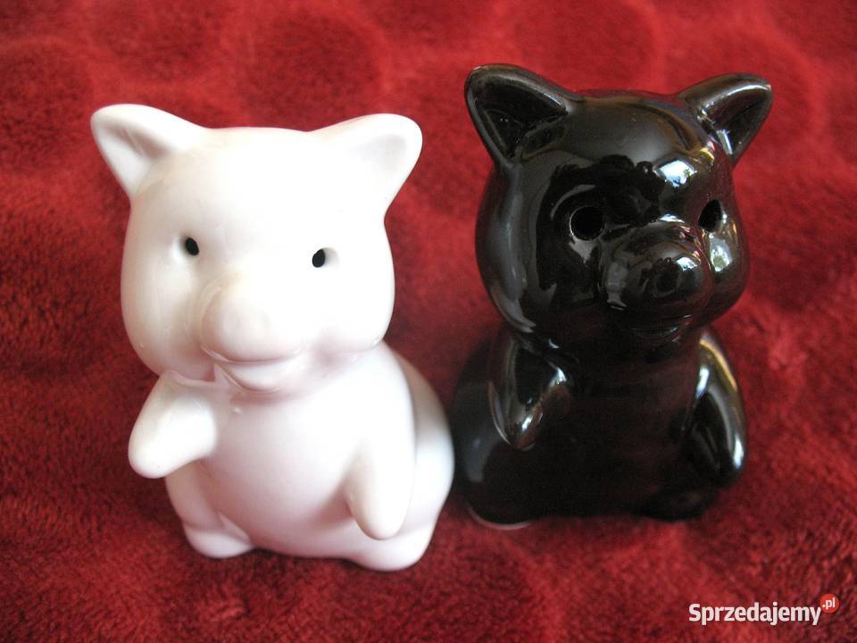 Pieprz i sól Świnki Pieprzniczka Solniczka wielokolorowy Siedlce