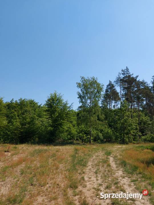 Piękna działka 500 m jeziora utwardzona Grabówko