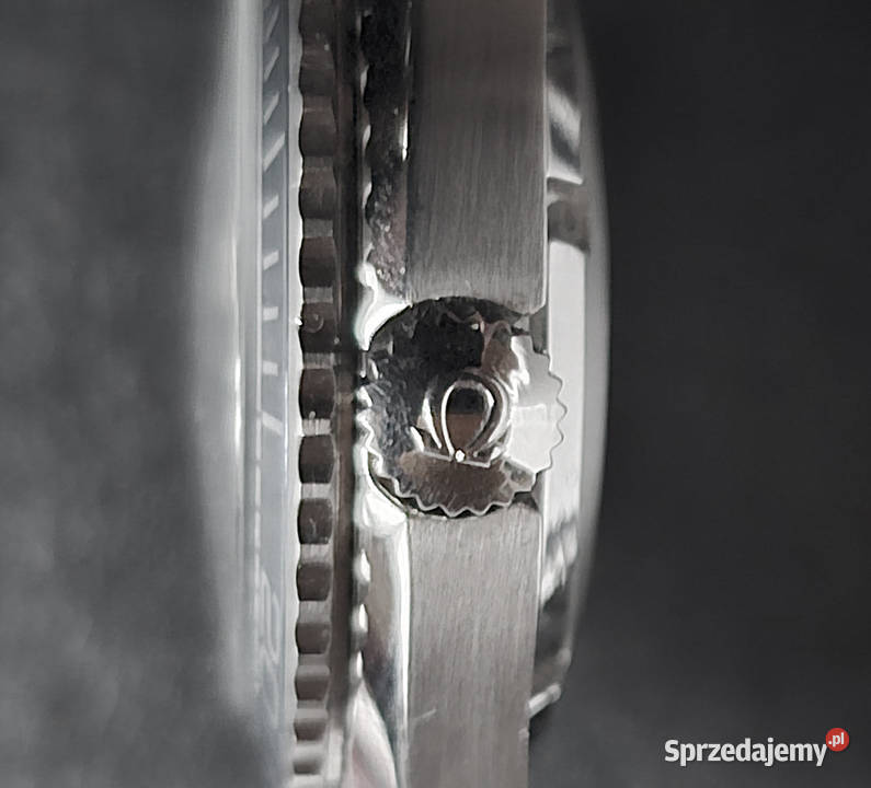 Omega Seamaster Planet Ocean 600 Kalisz