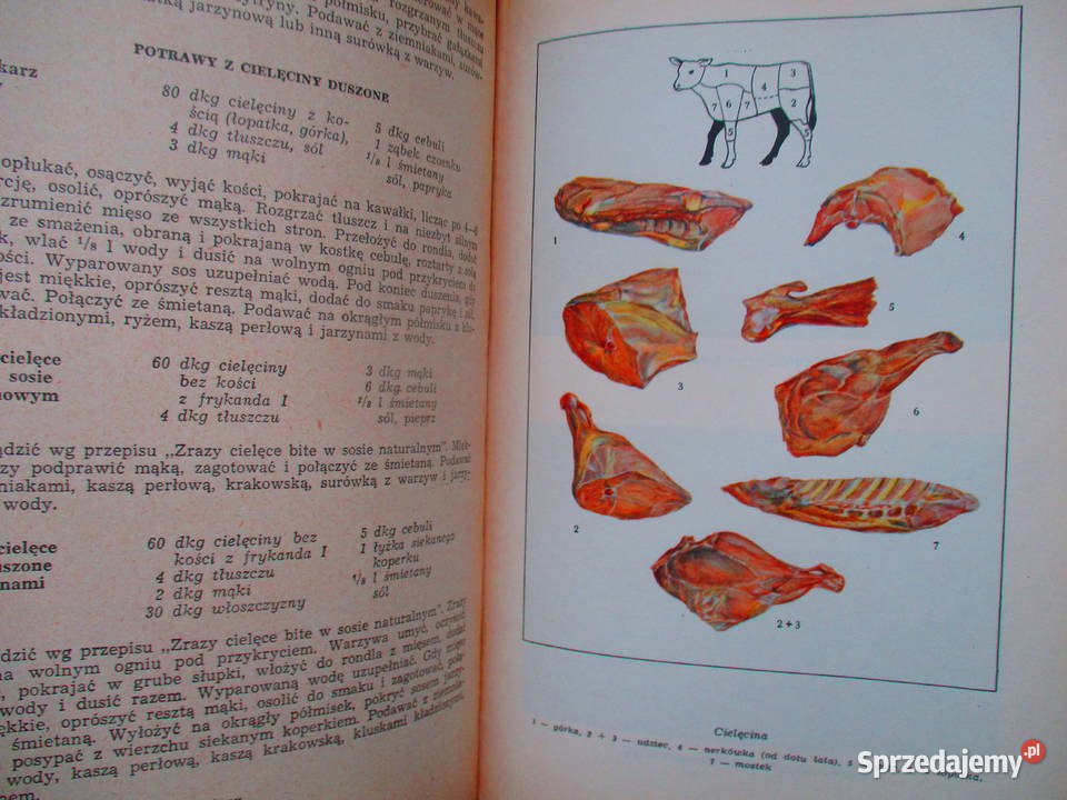 Kuchnia polska Berger kuchnia dania przepisy Poradniki, albumy i reportaże