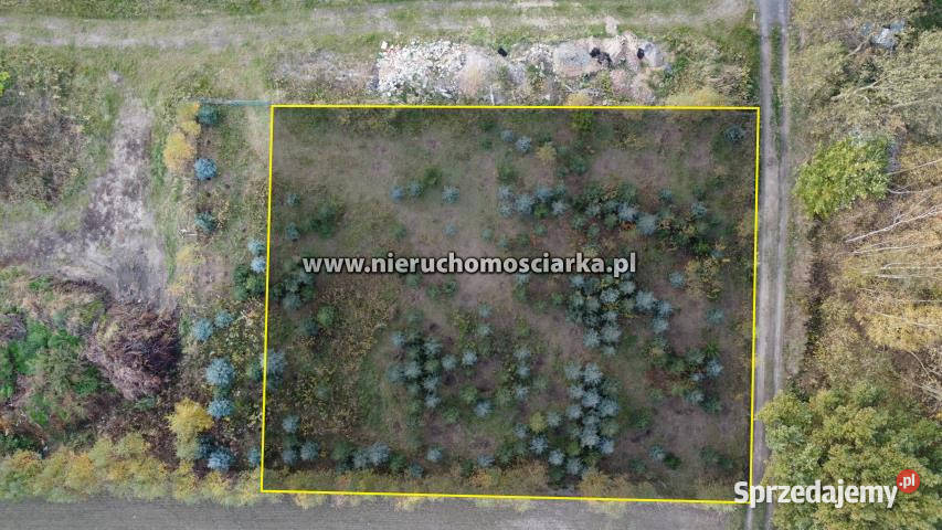 Działka do sprzedania 1200m2 Turza Śląska 31m