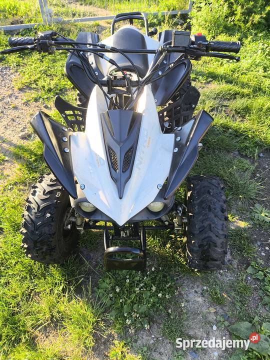 Quad Nitro 125 benzyna Motoryzacja Chojnów