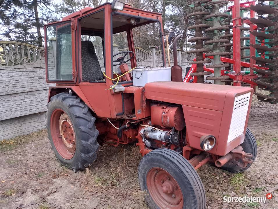 Wladimirec t25 Ślesin