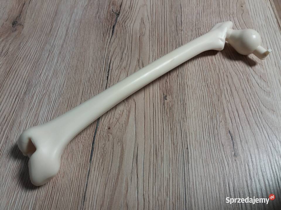 Tajemnice ludzkiego ciała kolekcja DeAgostini Cieszyn