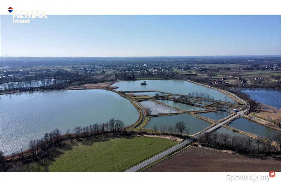 Działka usługowa Osiek kKęt 9056m2 małopolskie sprzedam