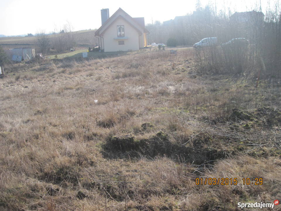 SPRZEDAM DZIAŁKĘ ZAŁĘŻE KPRZODKOWA Przodkowo sprzedam