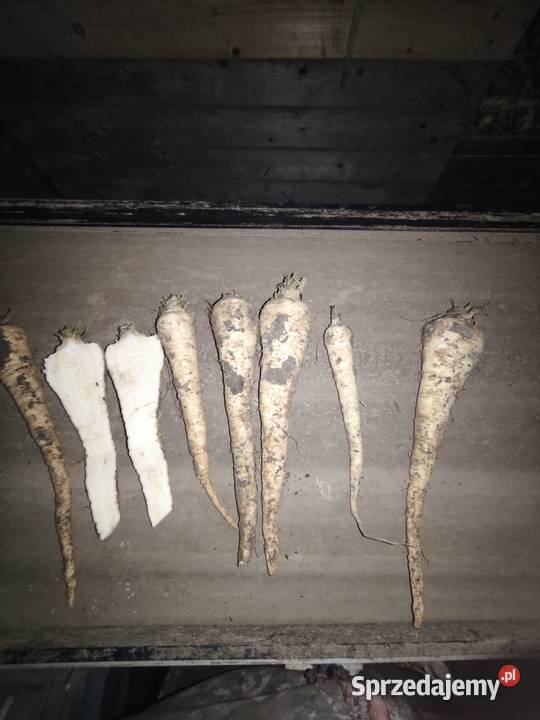 Pietruszka Opatkowice Drewniane