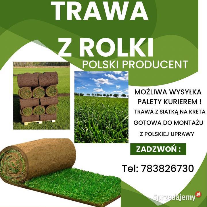 Trawa z rolki z siatką na Kreta polski producent