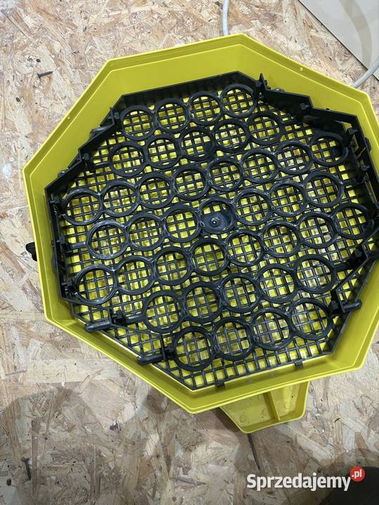 Sprzedam inkubator cleo 5