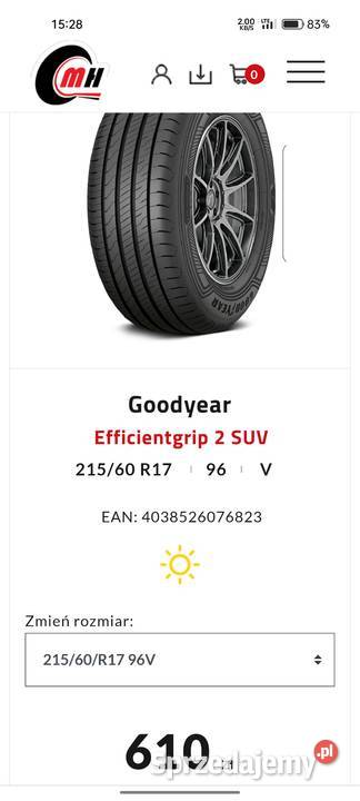 Goodyear Eficient Grup 2 SUV Niedźwiada