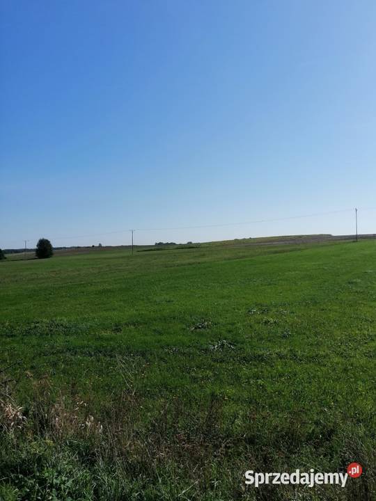 Syndyk sprzeda udział 14 w prawie włas nieruch rolna Mława
