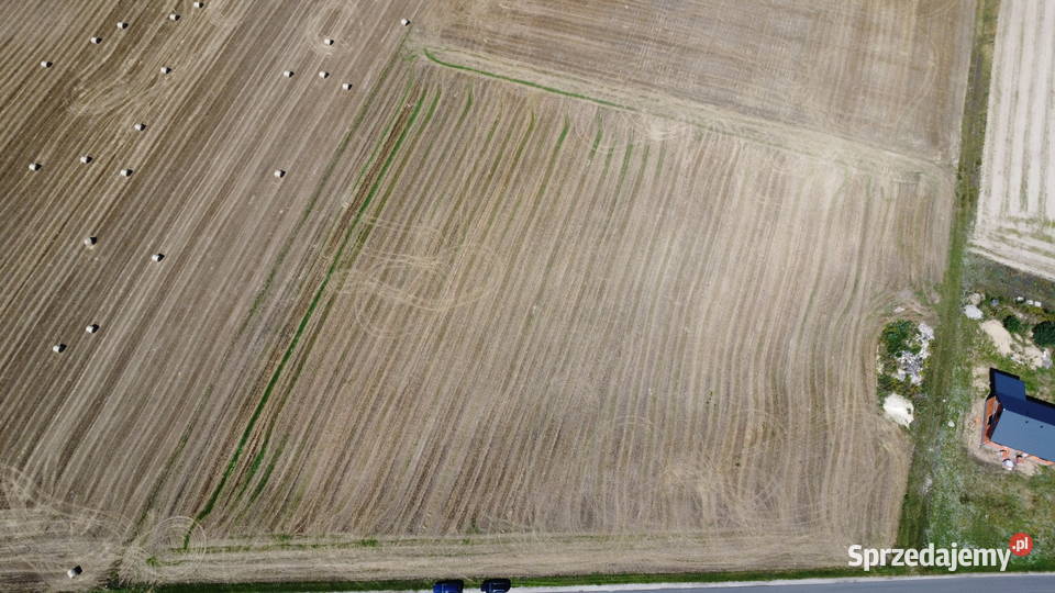 sprzedaży działki Dziedzice gmina Lądek obręb Sprzedaż Sprzedaż Słupca