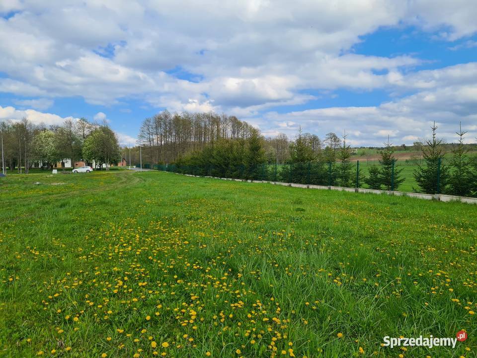 Z linia brzegową na szlaku WJM 3038m2 Harsz