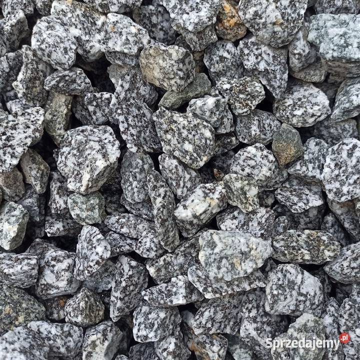 Grys Granitowy Dalmatian szary Kamień ozdobny