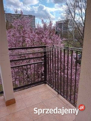 Mieszkanie Pruszków 60m2 3pokojowe sprzedam