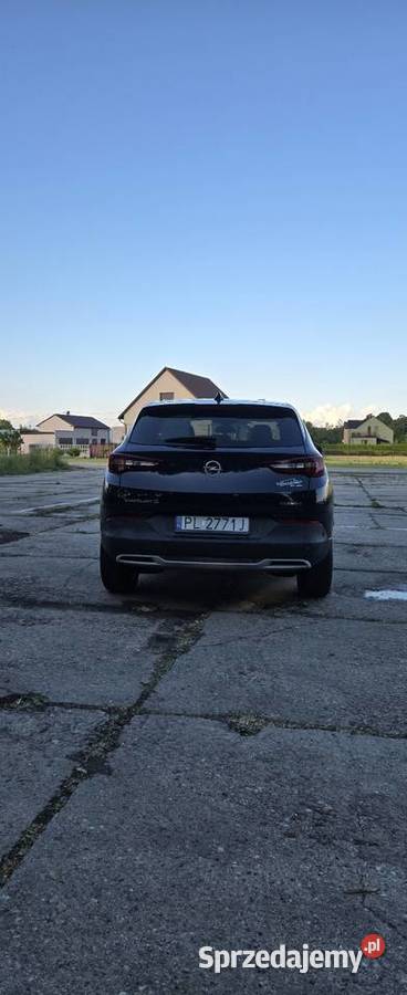 Opel Grandland X Grandland X Leszno
