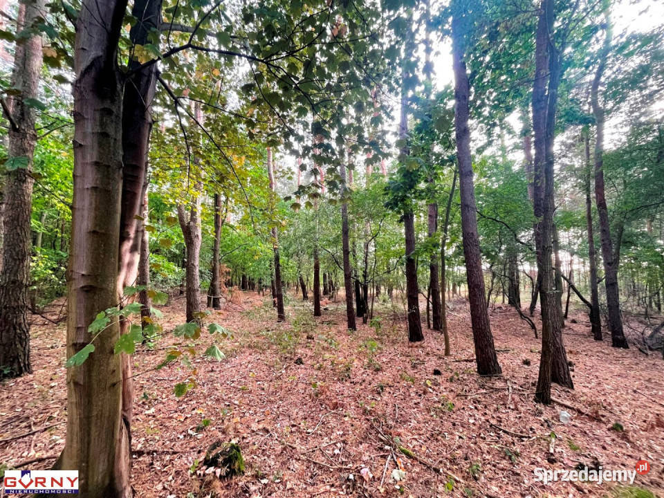 Działka Antoniówka 4675m2 4675m2 sprzedam