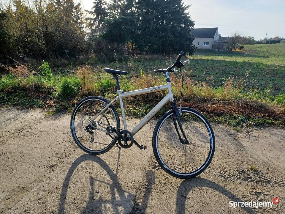 Rower DESIRE Lucca koło rozmiar 28 Świecie