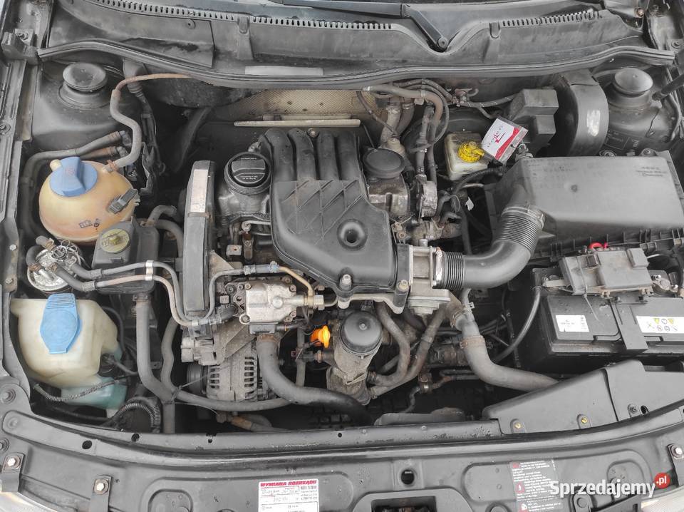 Seat Leon I 19 SDI bez turbo AQM 67hp 300 diesel zachodniopomorskie Koszalin