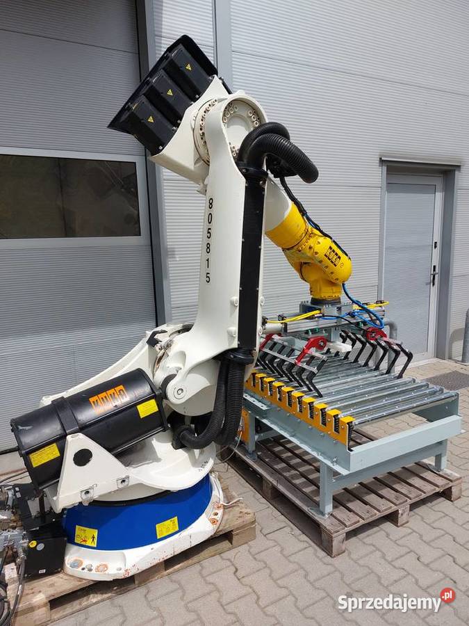 Zrobotyzowana paletyzacja worków kartonów Gorzów Wielkopolski