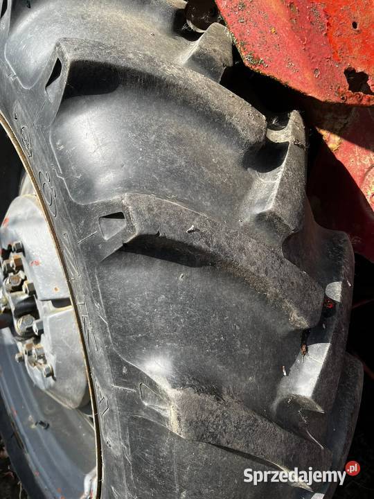 MTZ 80 BELARUS zachodniopomorskie Barlinek