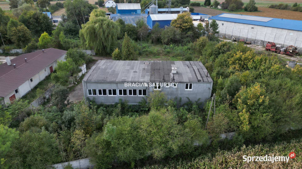 Lokal 9900m2 Siedliszowice