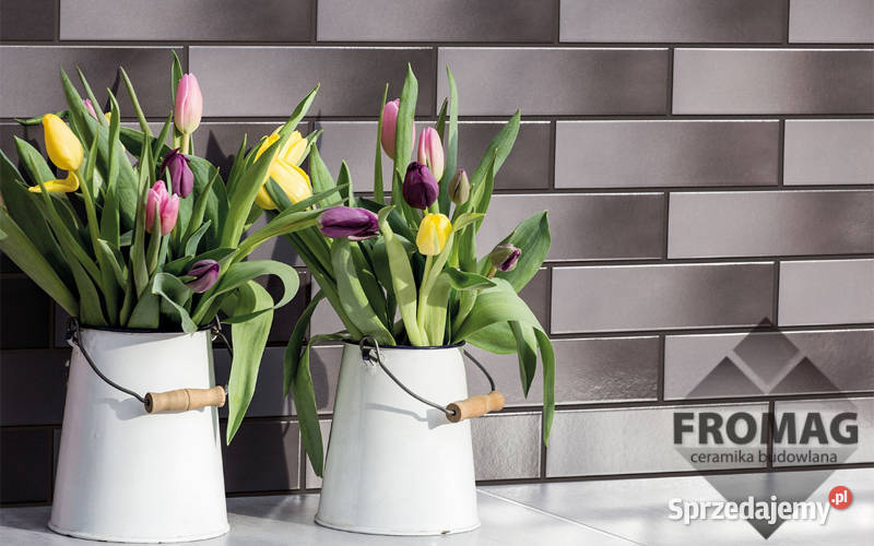 Cerrad elewacja szkliwiony grafit cieniowana opolskie Opole